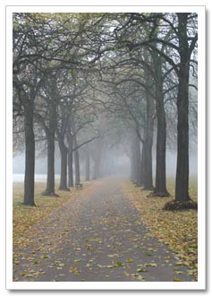 path.jpg